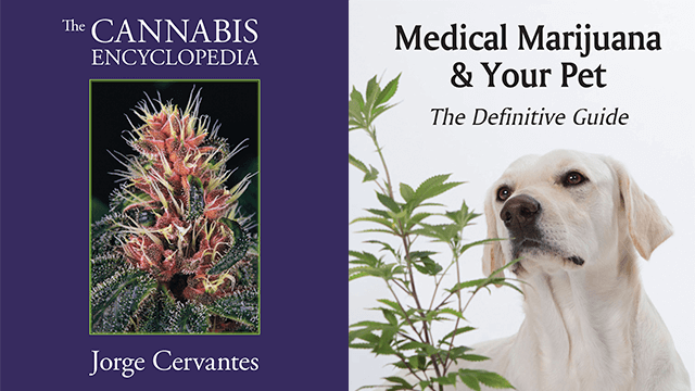 5 libros de cannabis medicinal que tienes que leer