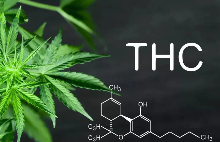 Todo sobre el THC: Efectos, usos terapéuticos y beneficios