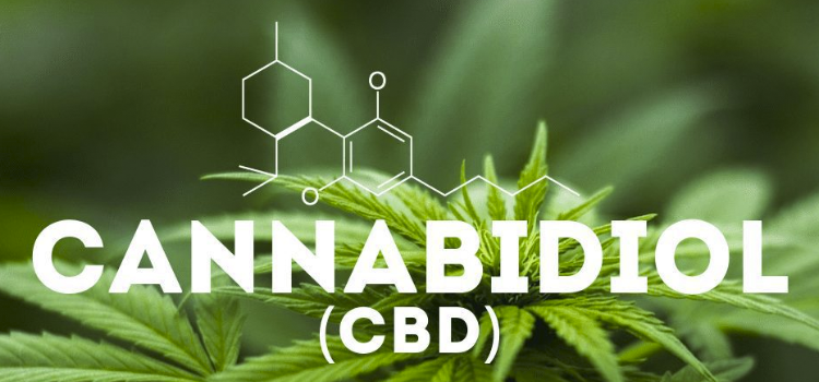 ¿Qué es y para qué sirve el CBD? Beneficios del cannabidiol para la salud