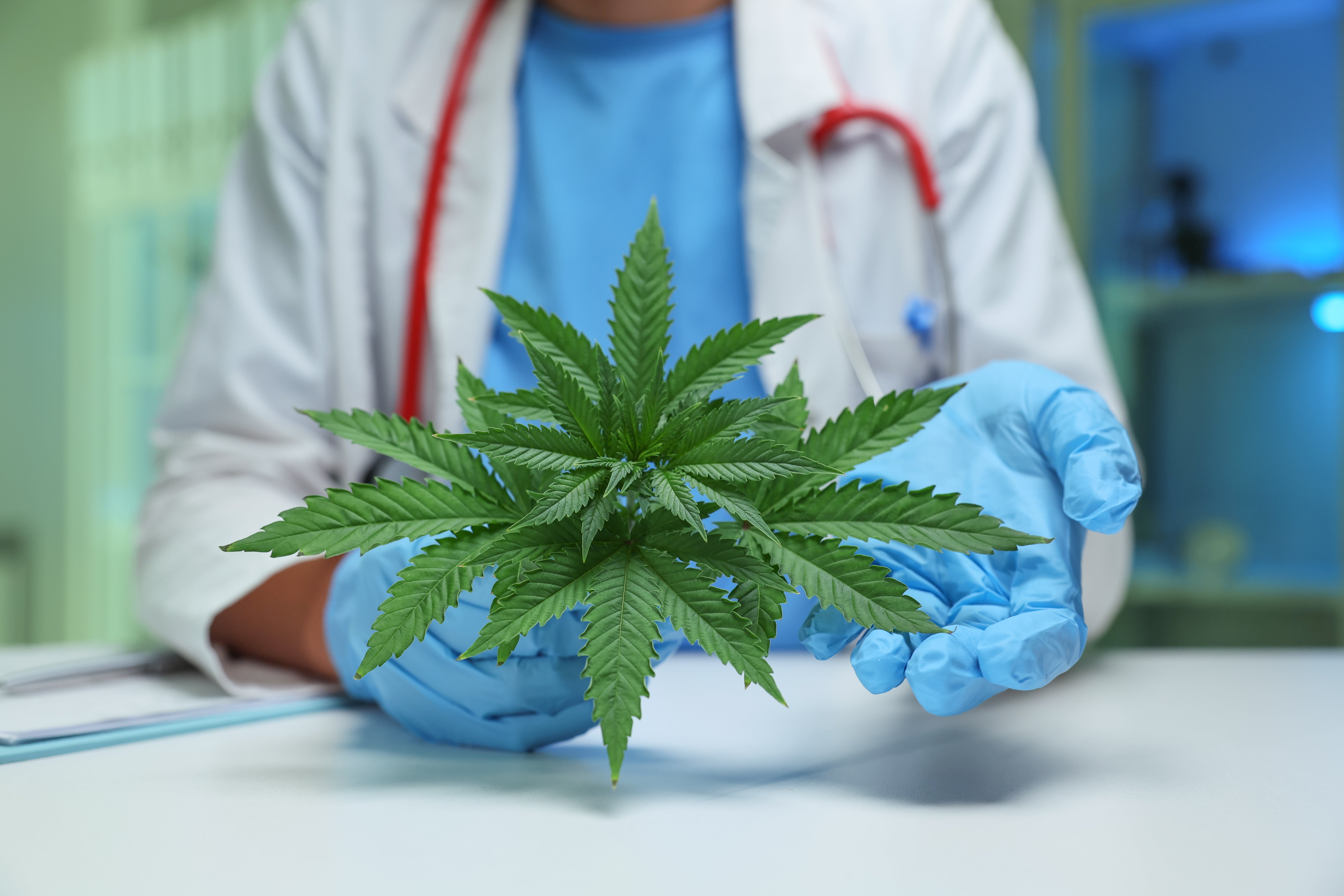 CBD para dolor crónico avalado por médicos